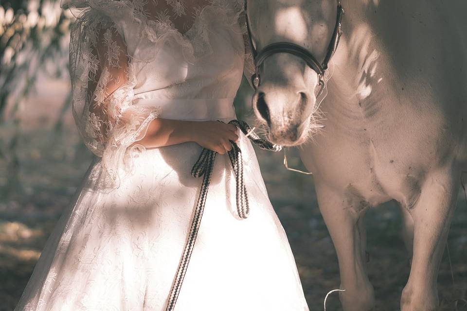 Mariée cavalière