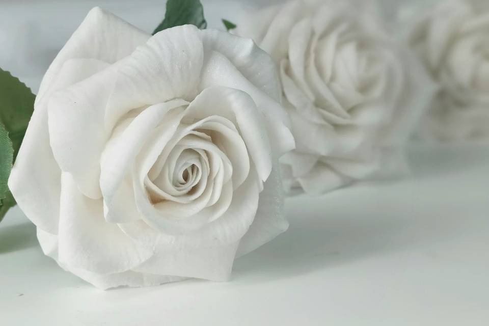 Sugar rose