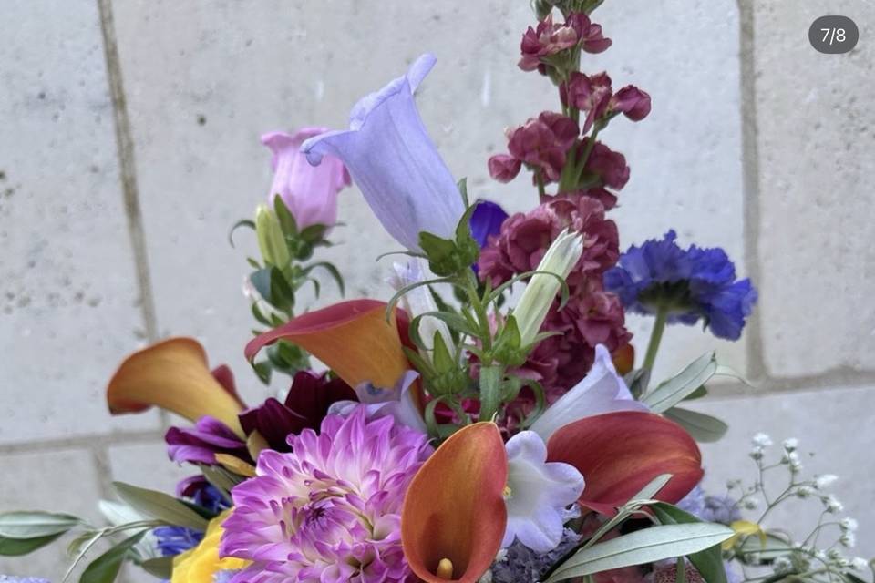Colorful
