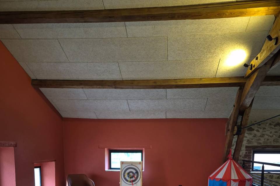 Salle de jeux avec billard