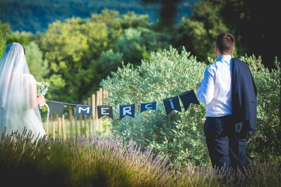 Trash the Dress