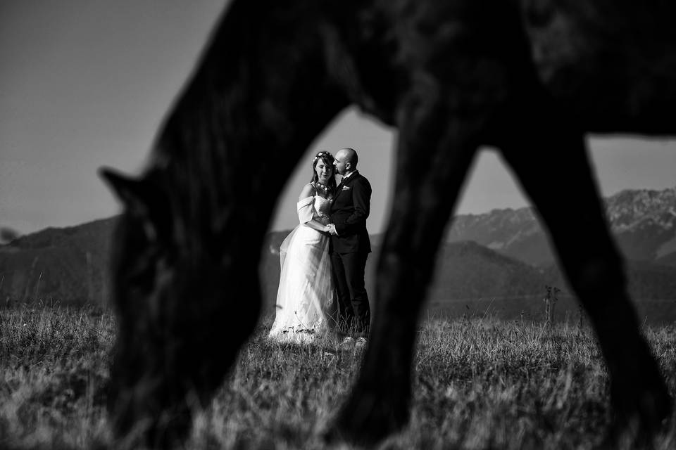 Deux et un cheval