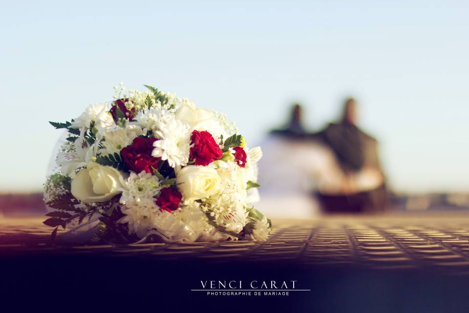 Venci Carat