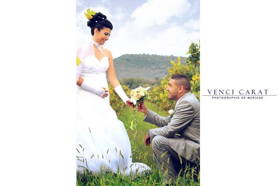 Venci Carat Photos & Video