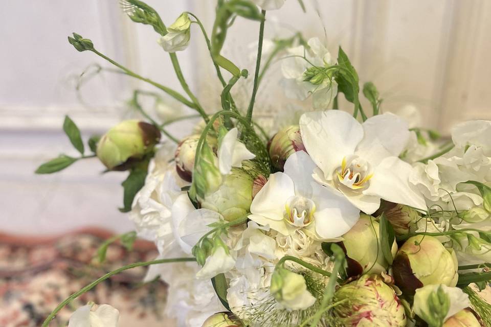 Décoration