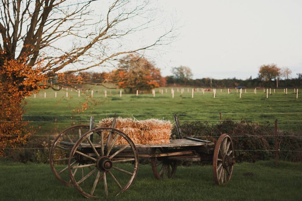 Champêtre