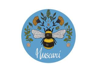 Muscari logo