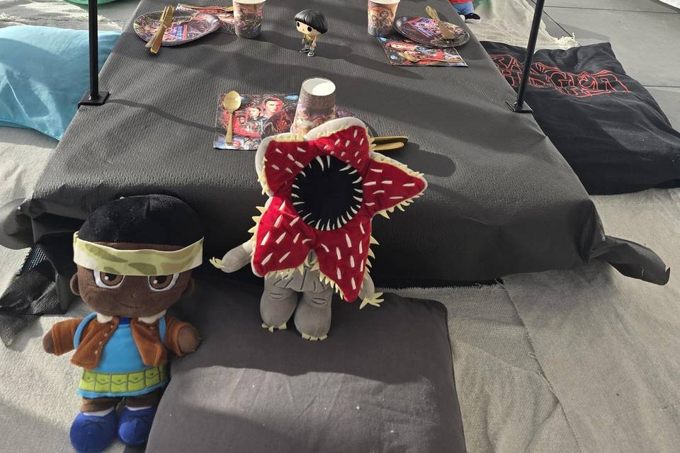 Anniversaire d'enfant à thème