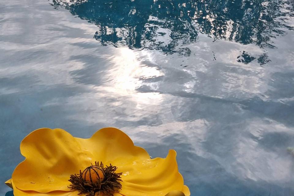 Fleurs flotante