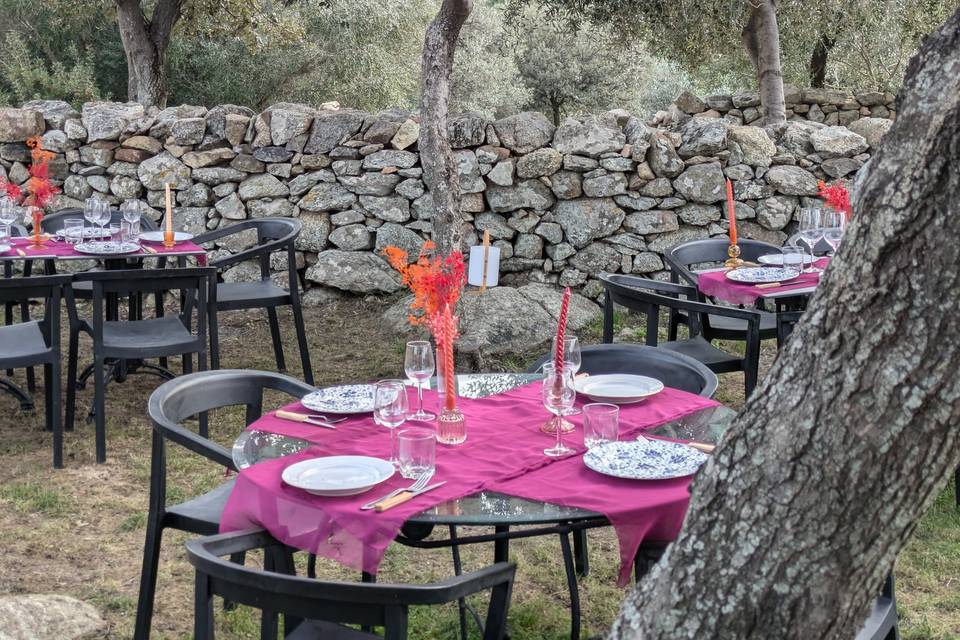 Terrasse extérieure