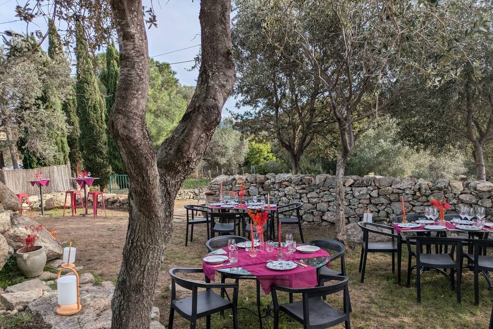Domaine Casta
