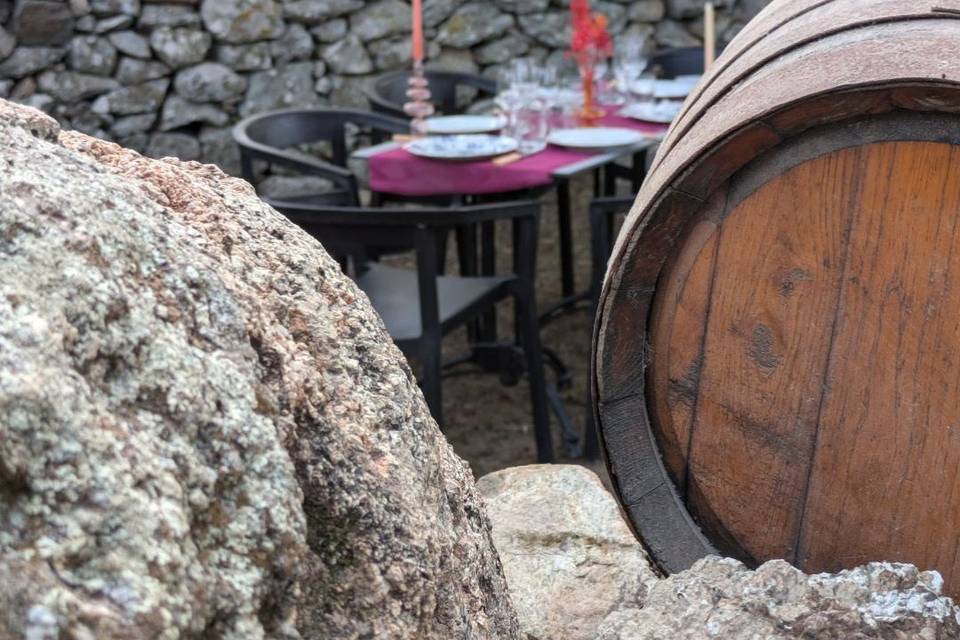Domaine