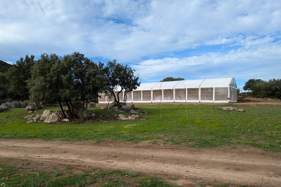 Domaine