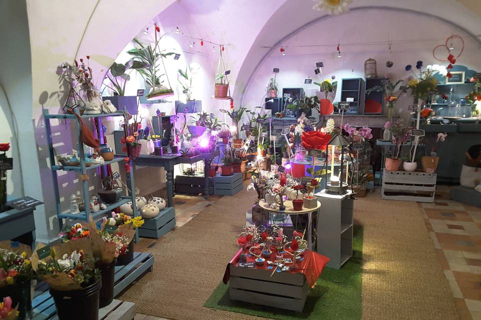Atelier Marine Fleurs