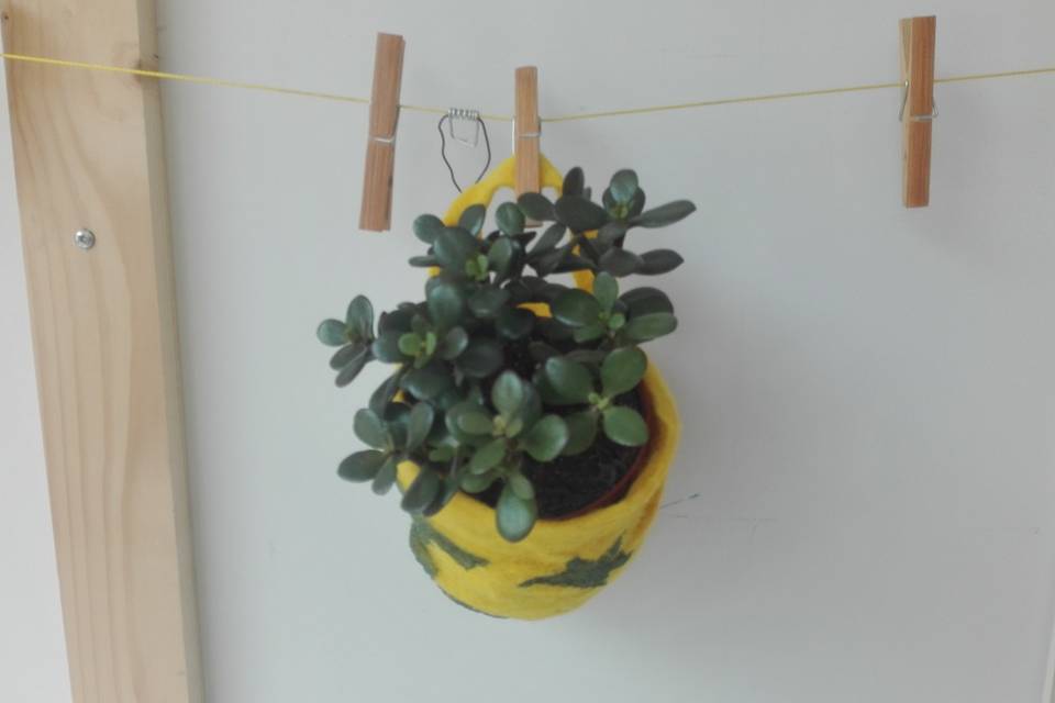 Plante dans creation