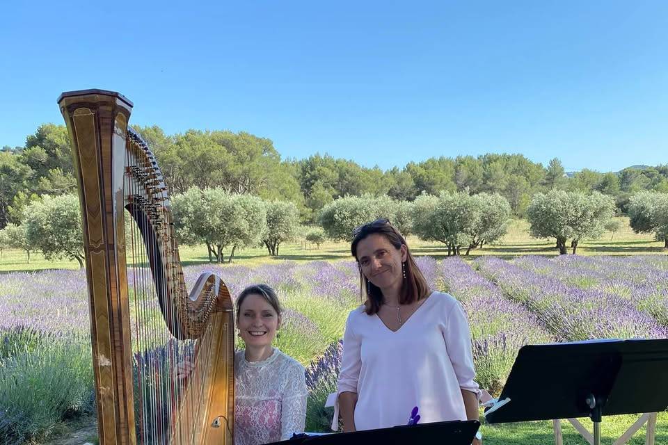 Harpe et chant lyrique