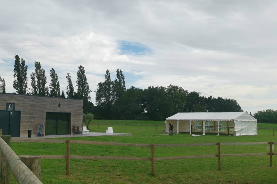 6x10 haras de fontainebleau