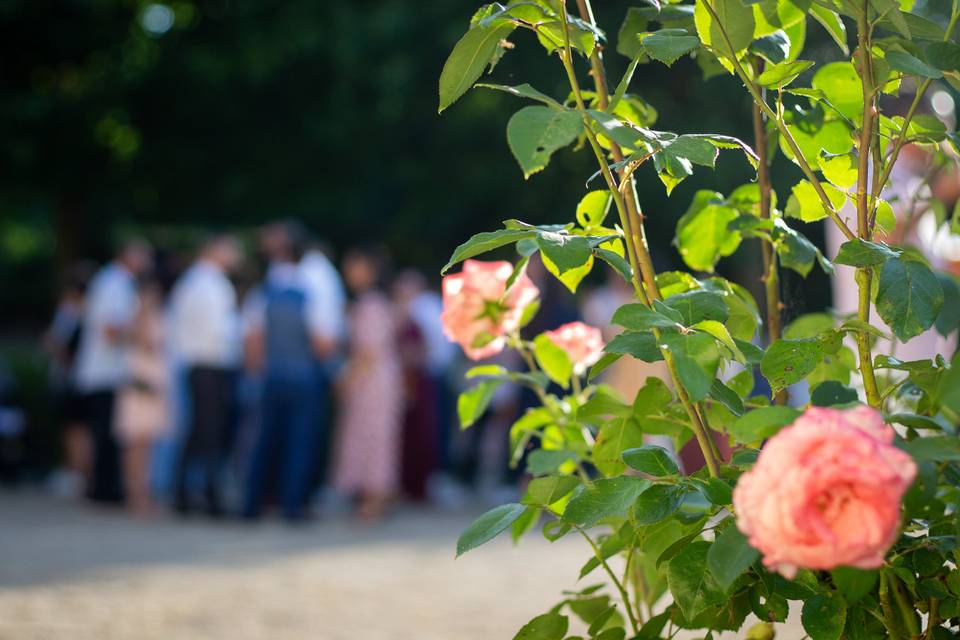 Maëva Photographe Isère