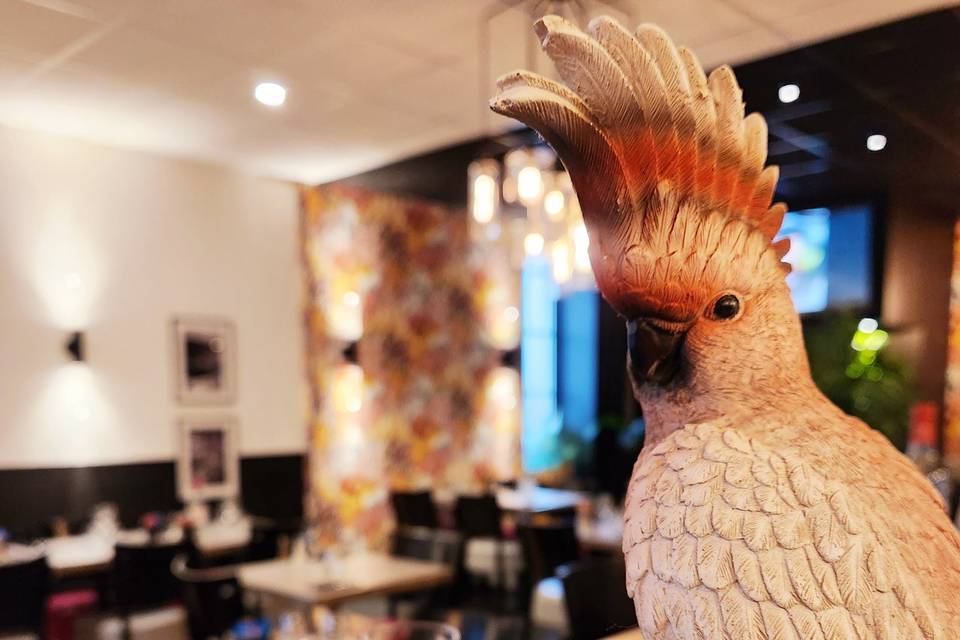Salle restaurant Albi