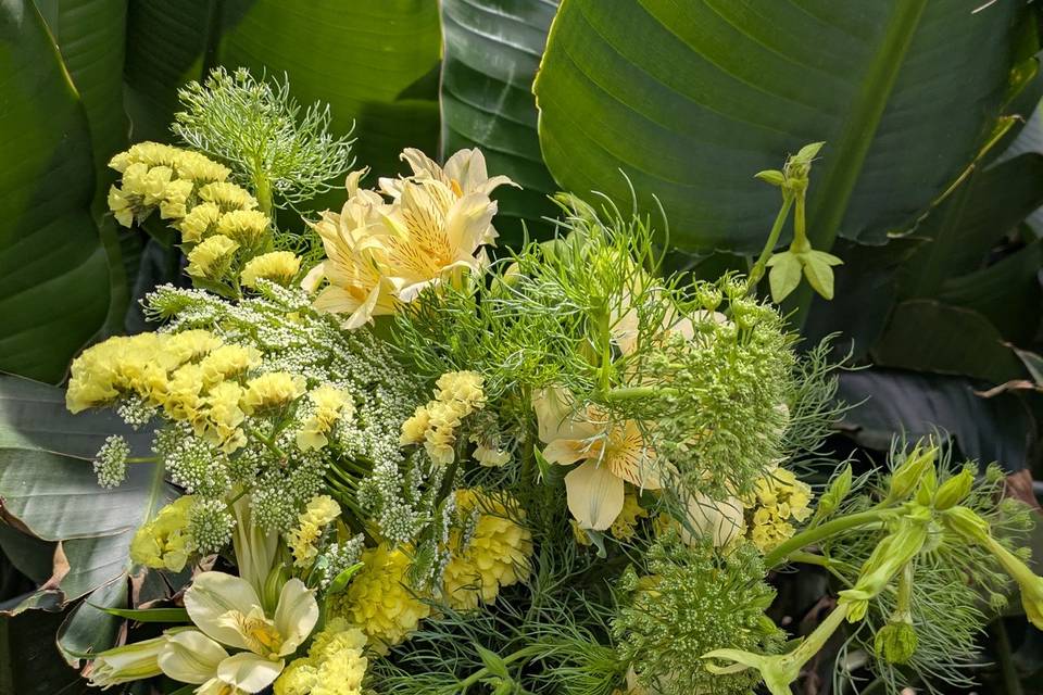 Bouquet flou