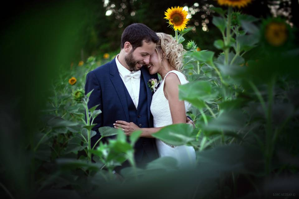 Couple dans les Tournesols