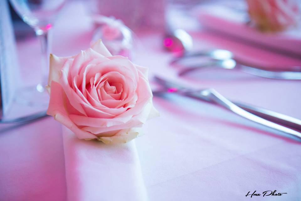 Rose de table