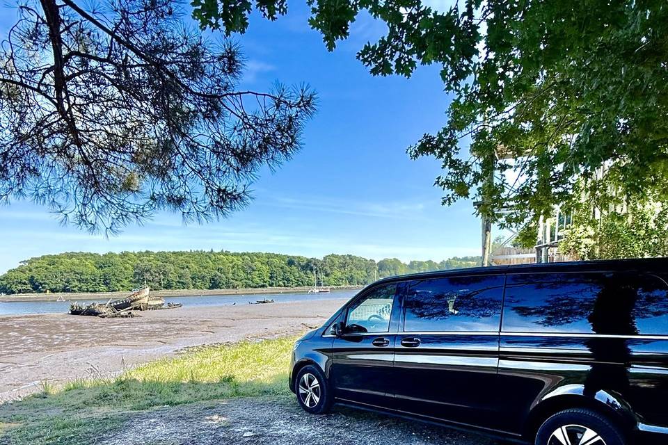 Chauffeurs professionnels