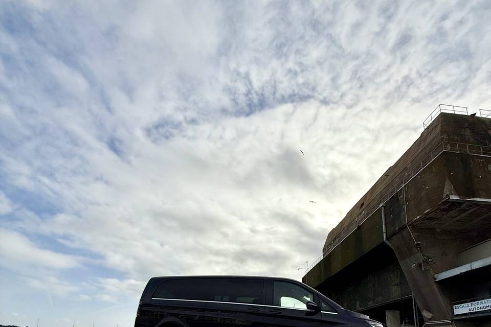 Chauffeurs professionnels