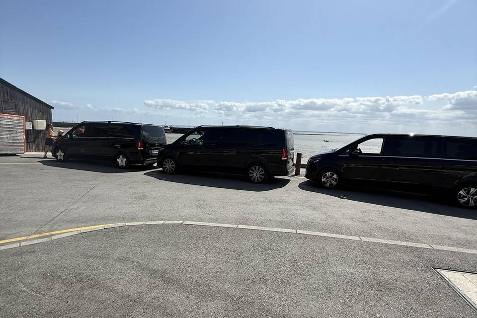 Chauffeur professionnels