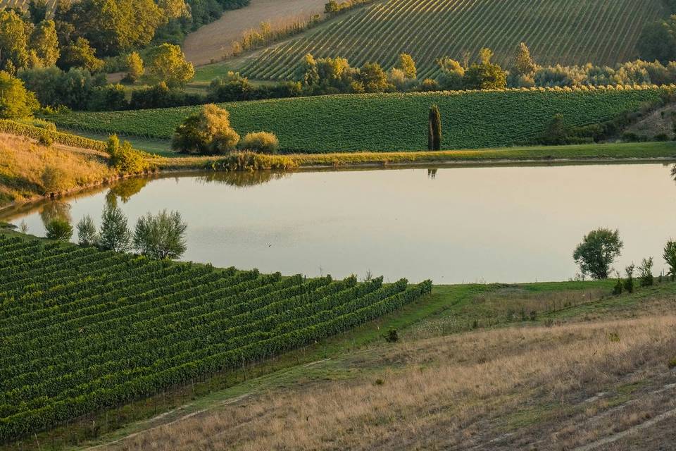 Paysage toscan