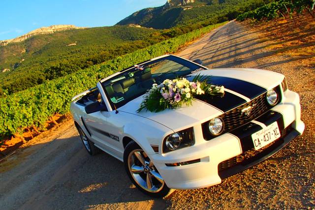 Ford mustang GT V8 Cabriolet