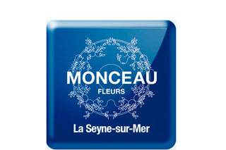 monceau