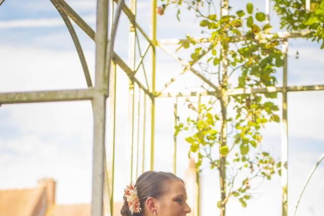 Pauline Limousin Photographies