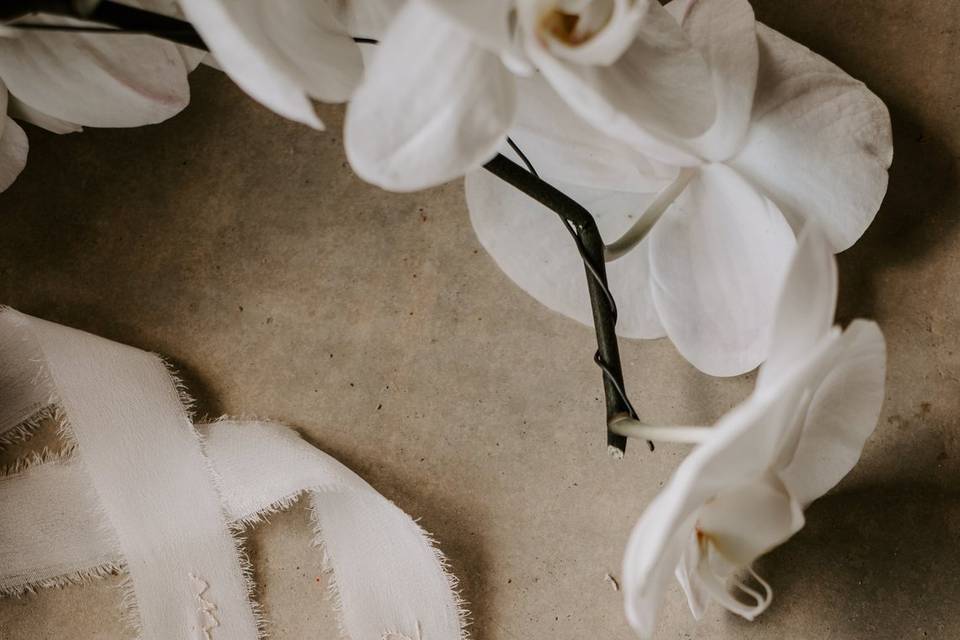 Voile de mariée Elisabeth Veil