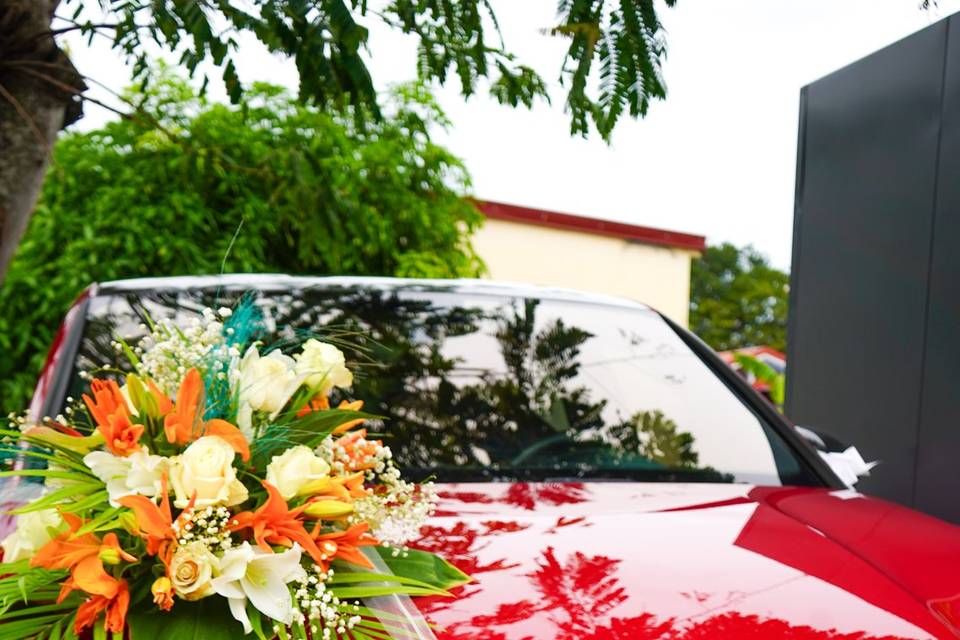 Photographe mariage Martinique