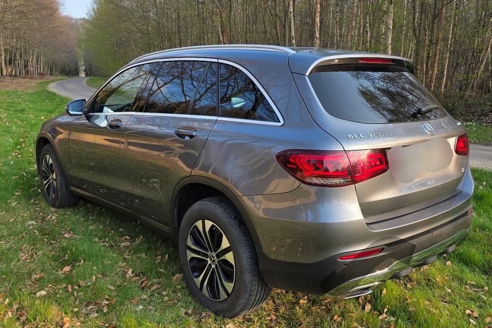 Glc 300