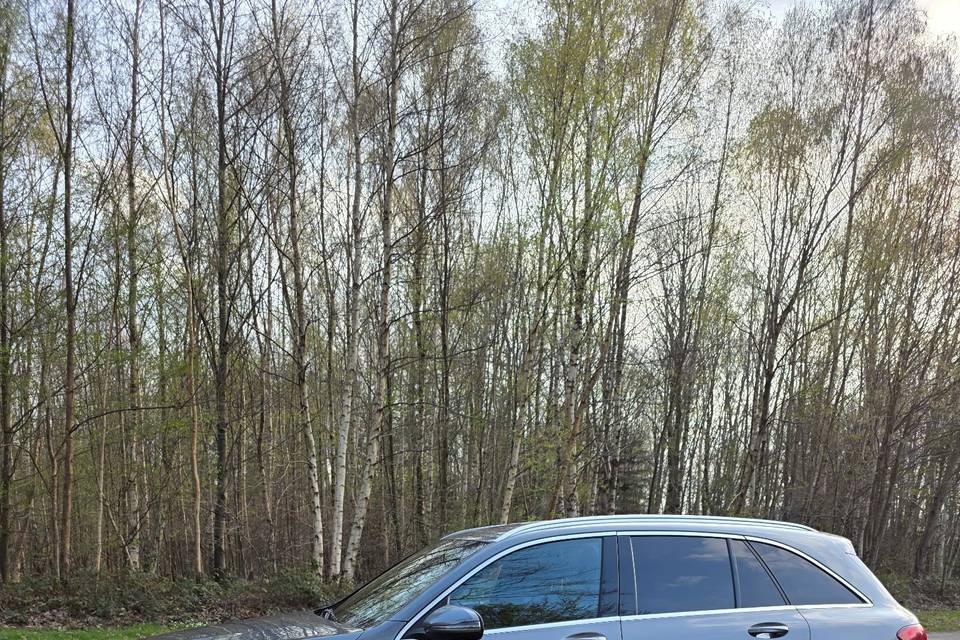 Glc 300