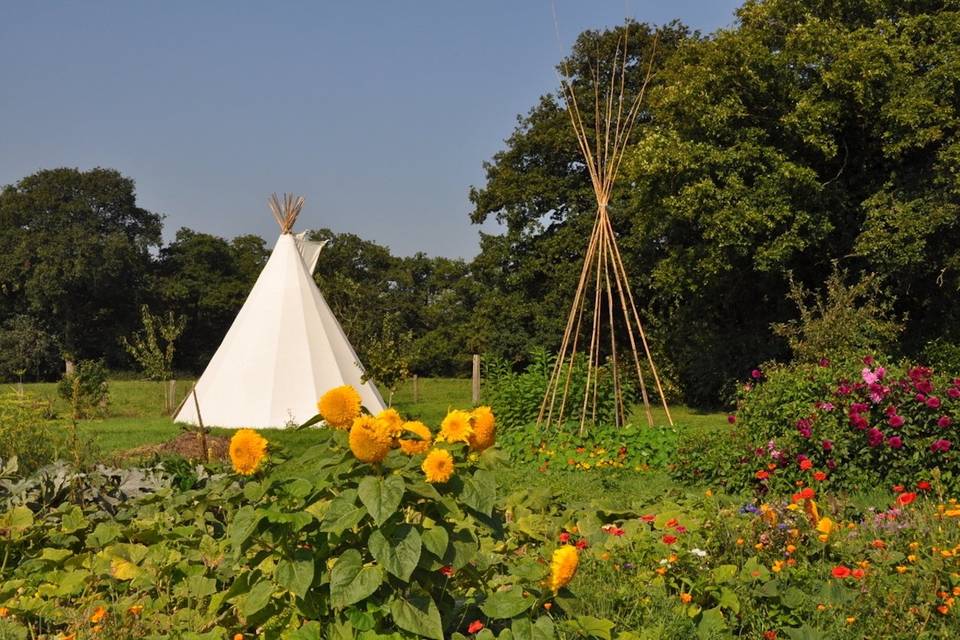 Hébergements tipi