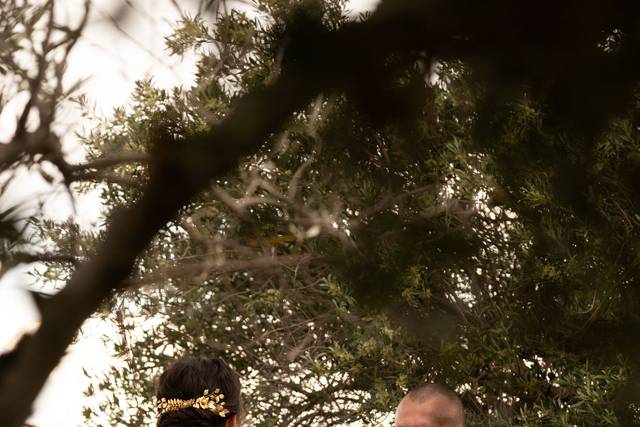 Mariage en Provence