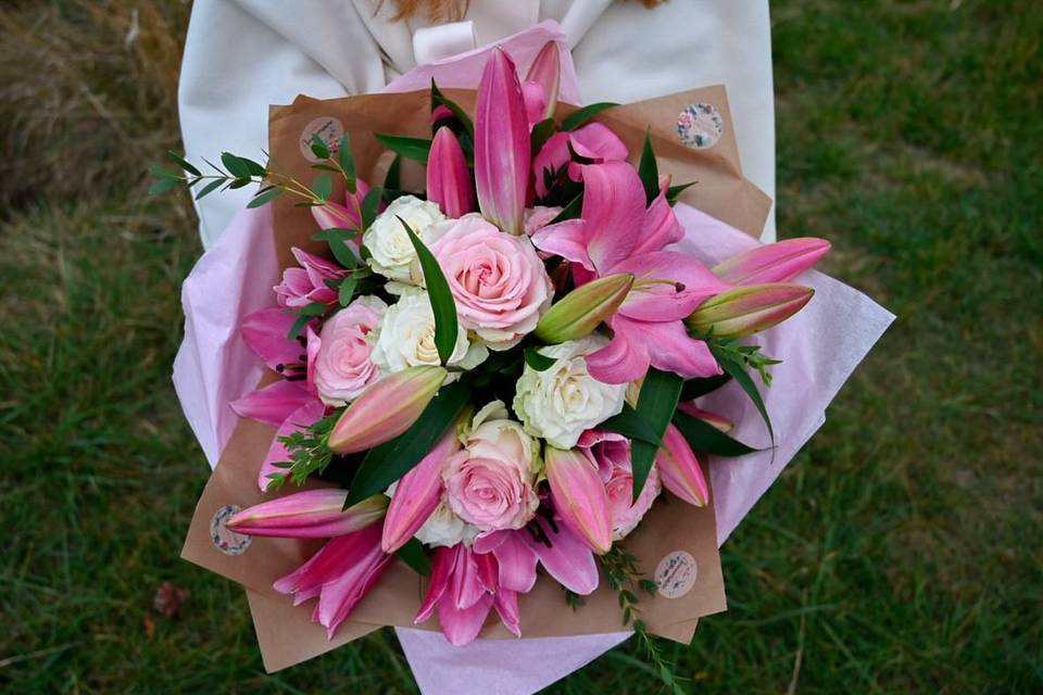 Lilium rose