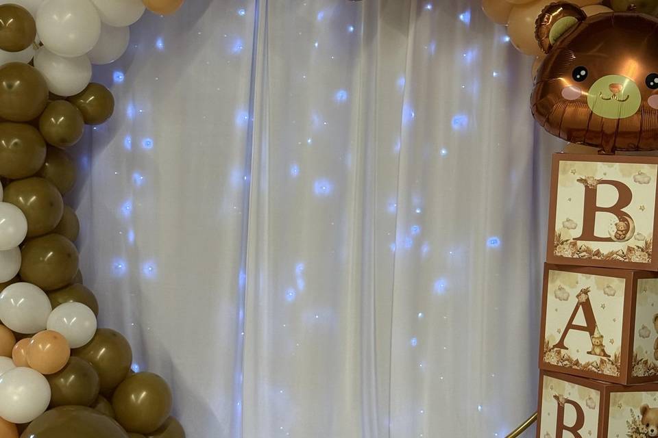 Arche gender reveal