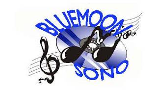 Bluemoon sono logo