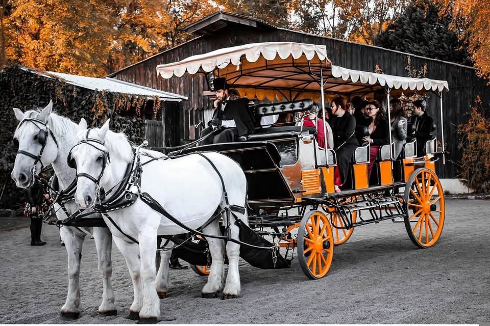 Mariage bohème