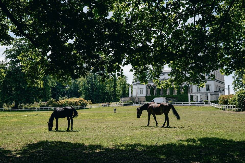 Les jardins