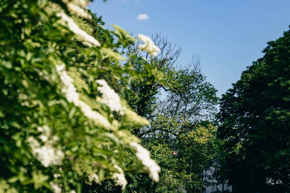 Les jardins