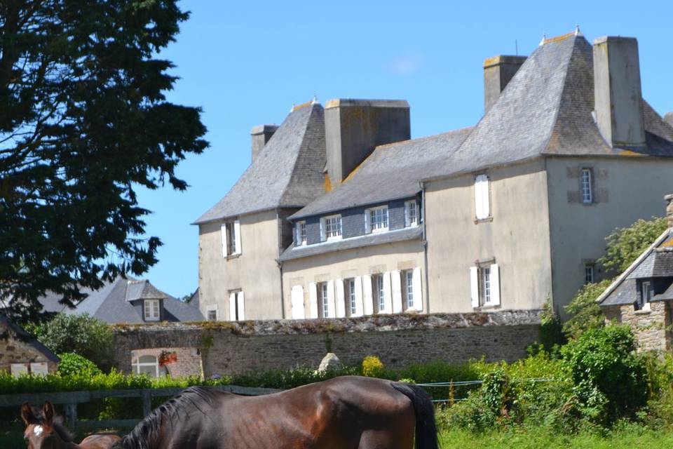 La cour sous un autre angle