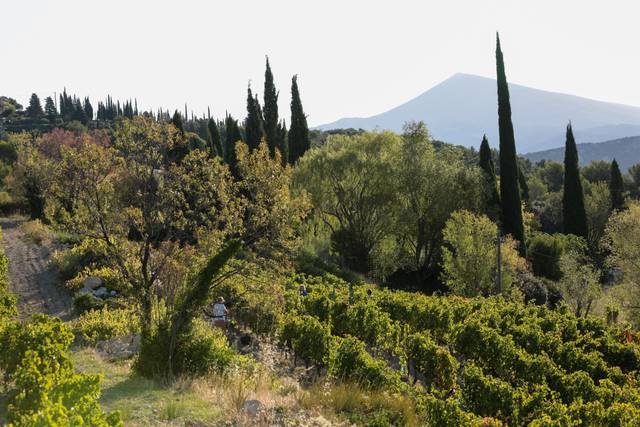 Mont-Ventoux