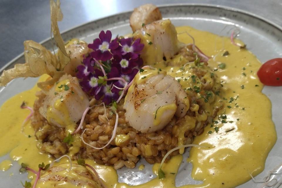Plat