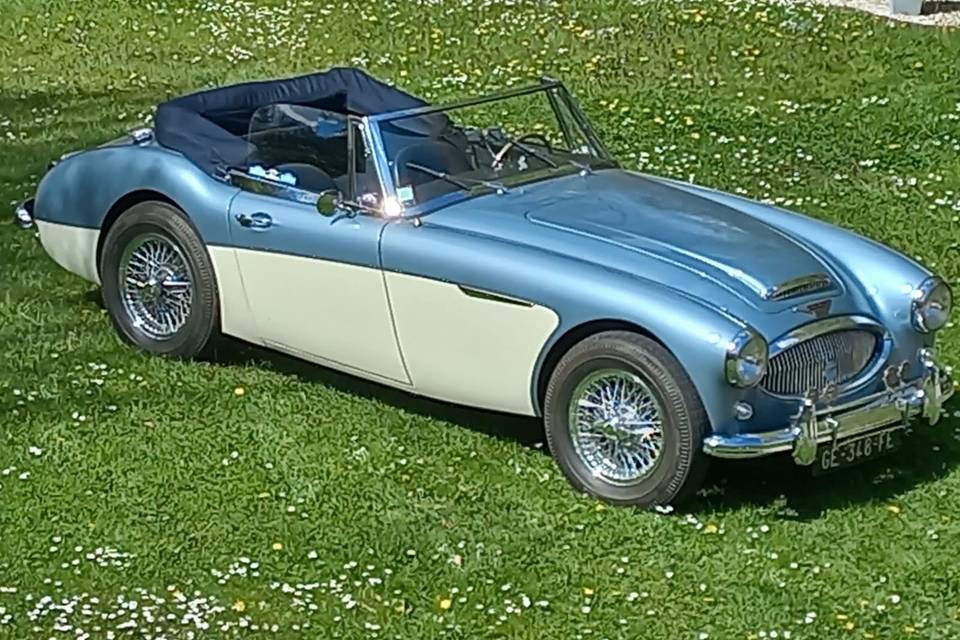 Austin Healey