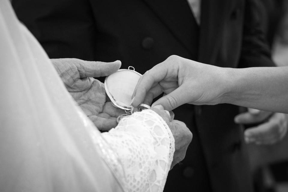 Elise & Julien | Juillet 2026